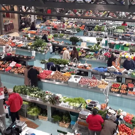 Figueira 아파트 부아르코스